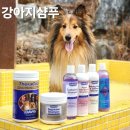 퓨어럭스 코리아 | 강아지샴푸추천, 테라코트 영양제회사의 데이비스 하이포 알러제닉 샴푸 후기