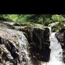 강릉외갓집 이미지