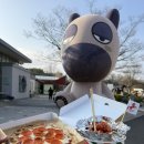 상하벌로 | 근교 가볼만한 곳, 과천 렛츠런파크 서울 벚꽃축제 후기, 주차, 입장료, 드론쇼, 경마장 꿀팁, 이색...