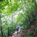 임걸령옹달샘 이미지