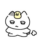 슬로우캘리 상봉점 이미지