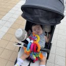 오색탕 | 3대가 모두 만족한 숙소 / 3룸 프리미어스위트룸 / 5개월 아기와 스파 이용후기 : 더앤리조트 호텔&amp;스파