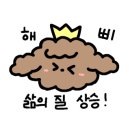 블루켄넬 이미지