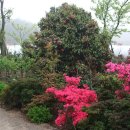 아침농원 이미지