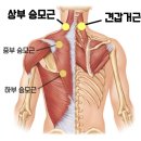 오륙도신경외과의원 네이버블로그