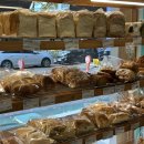 마스타성남정자1호점 | 분당정자 소금과빛 리얼 맛있는 인생 소보로를 만난 후기