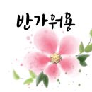 (디지털문해) 스마트폰 기초 이미지