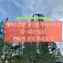 에이스호반부동산 공인중개사사무소 이미지