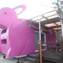 비로야영장 이미지