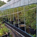 기룡농장 이미지