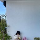 정용진농장 | 5살 아이랑 동해-강릉, 1박 2일 여행 후기(with. 탑스텐호텔)