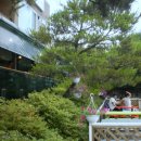 선비묵집 이미지