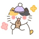 카페프레이