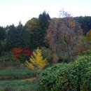 영화마을 이미지