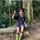 버드레인 이미지