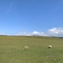 봉도농장 이미지