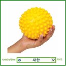 센시볼