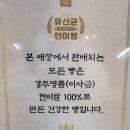 유산균현미빵