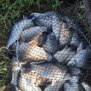 항포낚시터 이미지