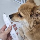 반려견 셀프미용 | 강아지 발바닥 바리깡 추천 미오펫 3in1 클리퍼 셀프 미용 후기