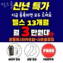 익스홀릭 가넷 이미지