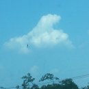 보금자리주유소 이미지