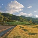 고탄리 마을회관 이미지