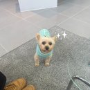 세븐일레븐 광주전대모아점 | 전대미용실 맨즈헤어 다운펌 누크온헤어 수석디자이너 지아쌤 후기
