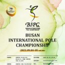 전북피디협회 | 2021 BIPC 부산국제폴챔피언십 비대면 폴댄스 대회 필리그란폴스튜디오 선수 출전 스케치 후기