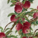 [백석]민화 이미지