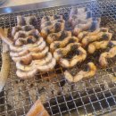 풍천가든 | 청계산 풍천가 본점 장어구이 내돈내산 몸보신 후기