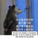유월팔일베이커리 | 유월이 새도록 춤이나 추는거야 Part.1