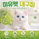 합천동물병원 | 합천랙돌분양 가격보다 중요한 기준