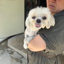 GS25두호타운 이미지