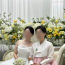 반딧불청과 | ep.22) 비앙코스냅 아이폰스냅 추천후기 (내돈내산) - 금융감독원 어두운홀 + 2부연회장 추가