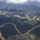 지구상 가장 긴 강 아마존강에는 다리가 없다?!.jpg 이미지