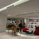 남성관 | [프랑스]파리 3대 백화점 라파예트 / 쁘랭땅 / 르봉마르쉐 백화점 쇼핑 후기 및 꿀팁 (샤넬5%할인)