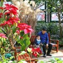 나비생태공원 이미지