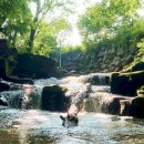 백운펜션 이미지