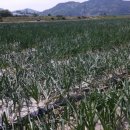 함양액즙 이미지