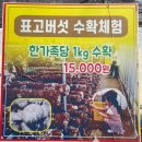 찬우물버섯농장 이미지