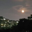 서강 행정사사무소 이미지