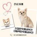 부전얼음