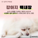 봉곡동물병원 이미지