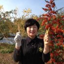 예일치과 이미지