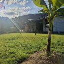 운일암 높은음자리 | 진안 운일암 높은음자리 숙소 운영 이야기 | 자연 속 추억과 쉼