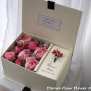 지구박스 이미지