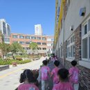 🏫유초이음-안양남초등학교에서 1학년 선배를 만났어요🏫 이미지