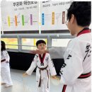 무궁화 태권도장 세종본관 이미지