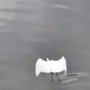 (주)강변 이미지